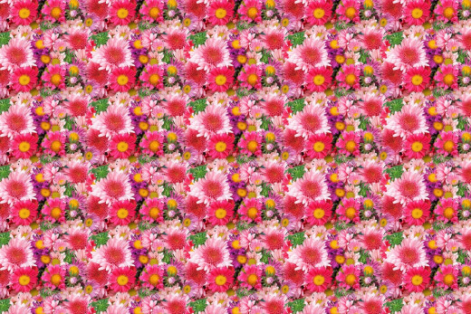 921679 (a): :1920x1280
